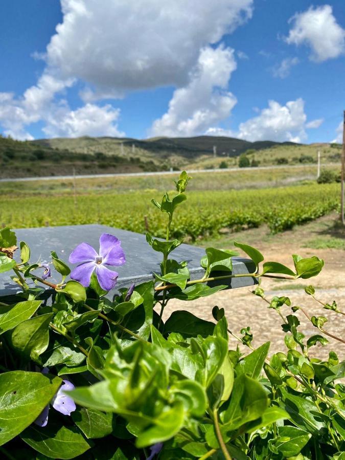 Villa Quinta Do Chao D'Ordem Vila Nova de Foz Cõa Exterior foto