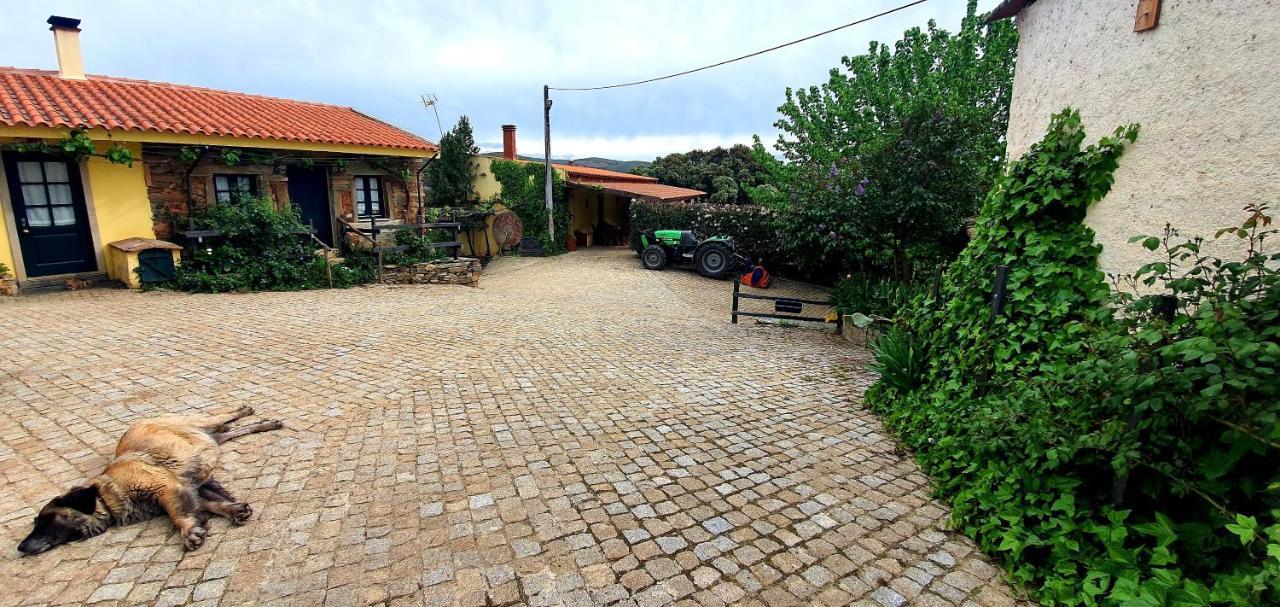 Villa Quinta Do Chao D'Ordem Vila Nova de Foz Cõa Exterior foto